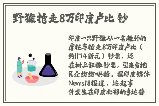 坐公交车被c的评论